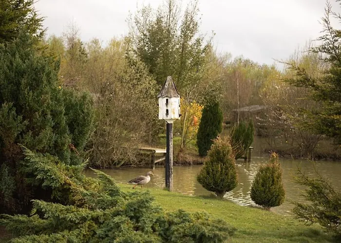 Willa Harvest 8 - Yellowtop Country Park - Hot Tub - Yorkshire *